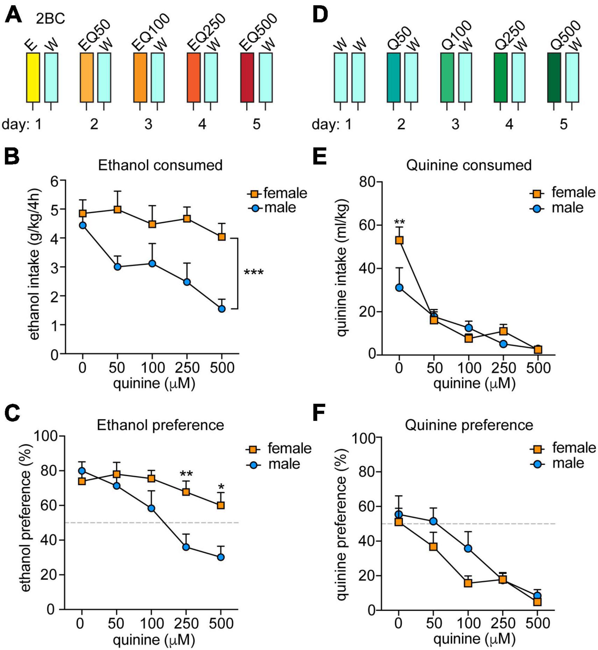 Sexually dimorphic role for insular perineuronal nets in aversion-resistant alcohol consumption